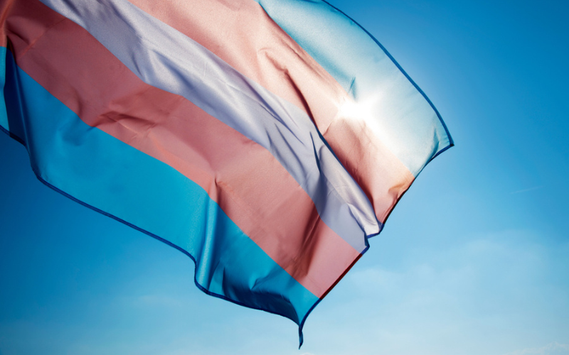 Dia Nacional das Pessoas Travestis e Trans – A inclusão começa por você